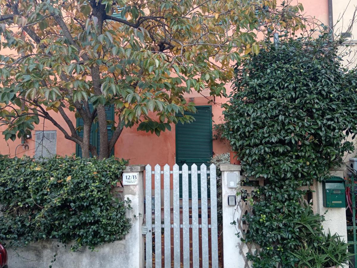 Maioliche Cozy Apartment بيزا المظهر الخارجي الصورة